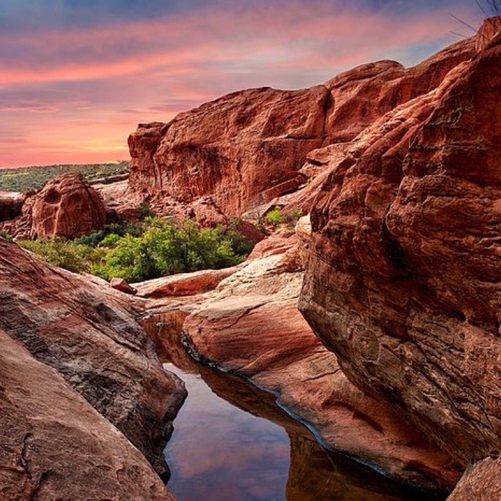 Meet your Posher, Ana